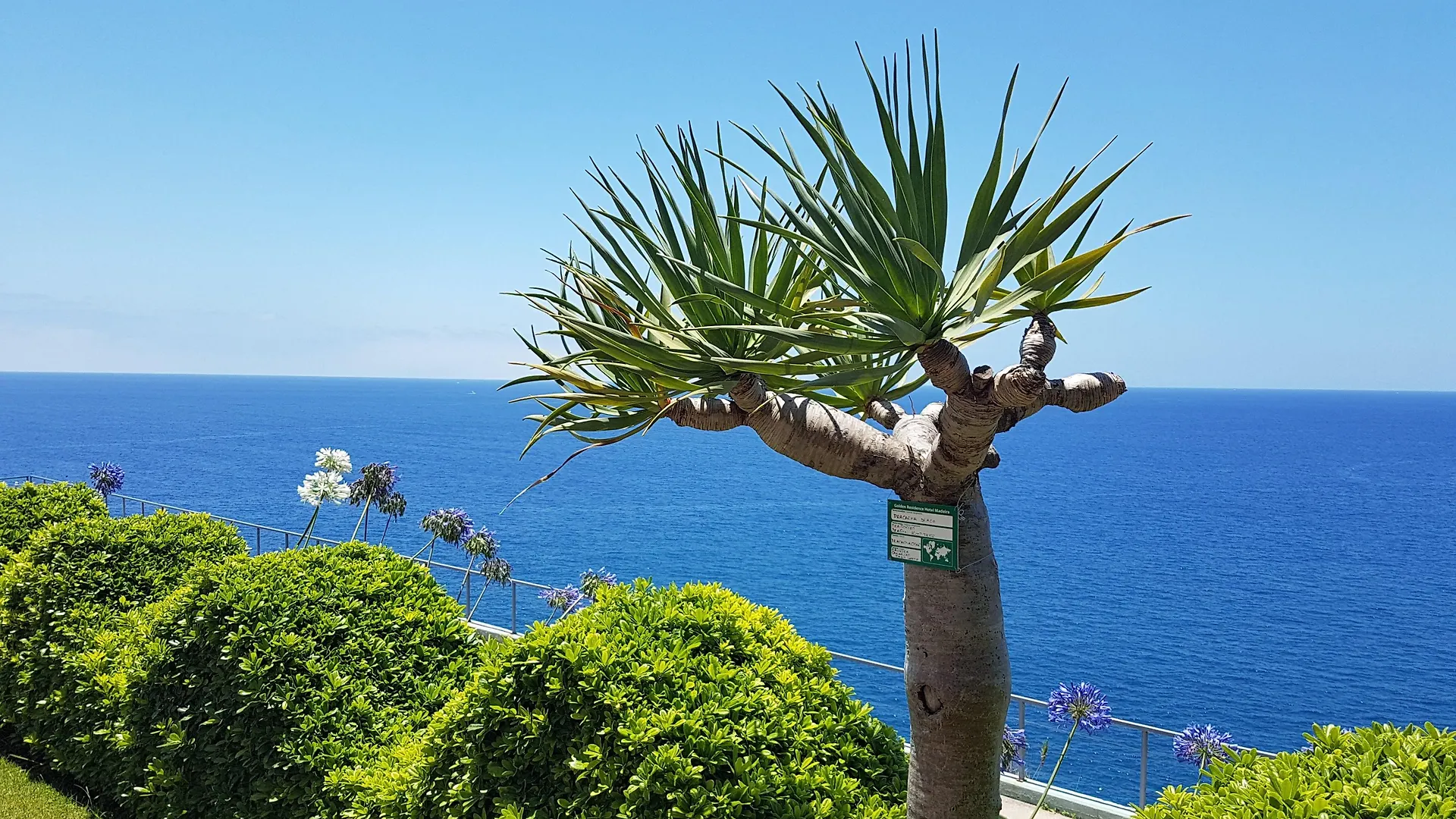 Golden Residence Hotel Funchal  4*, Funchal (Madeira) Portugal