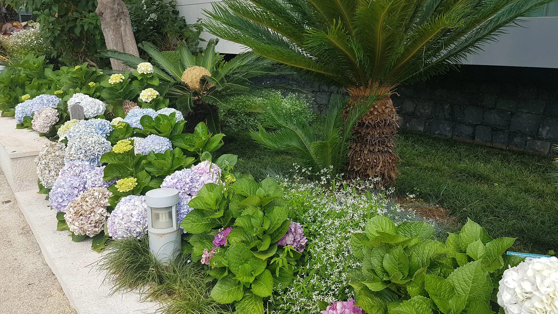 Golden Residence Hotel Funchal