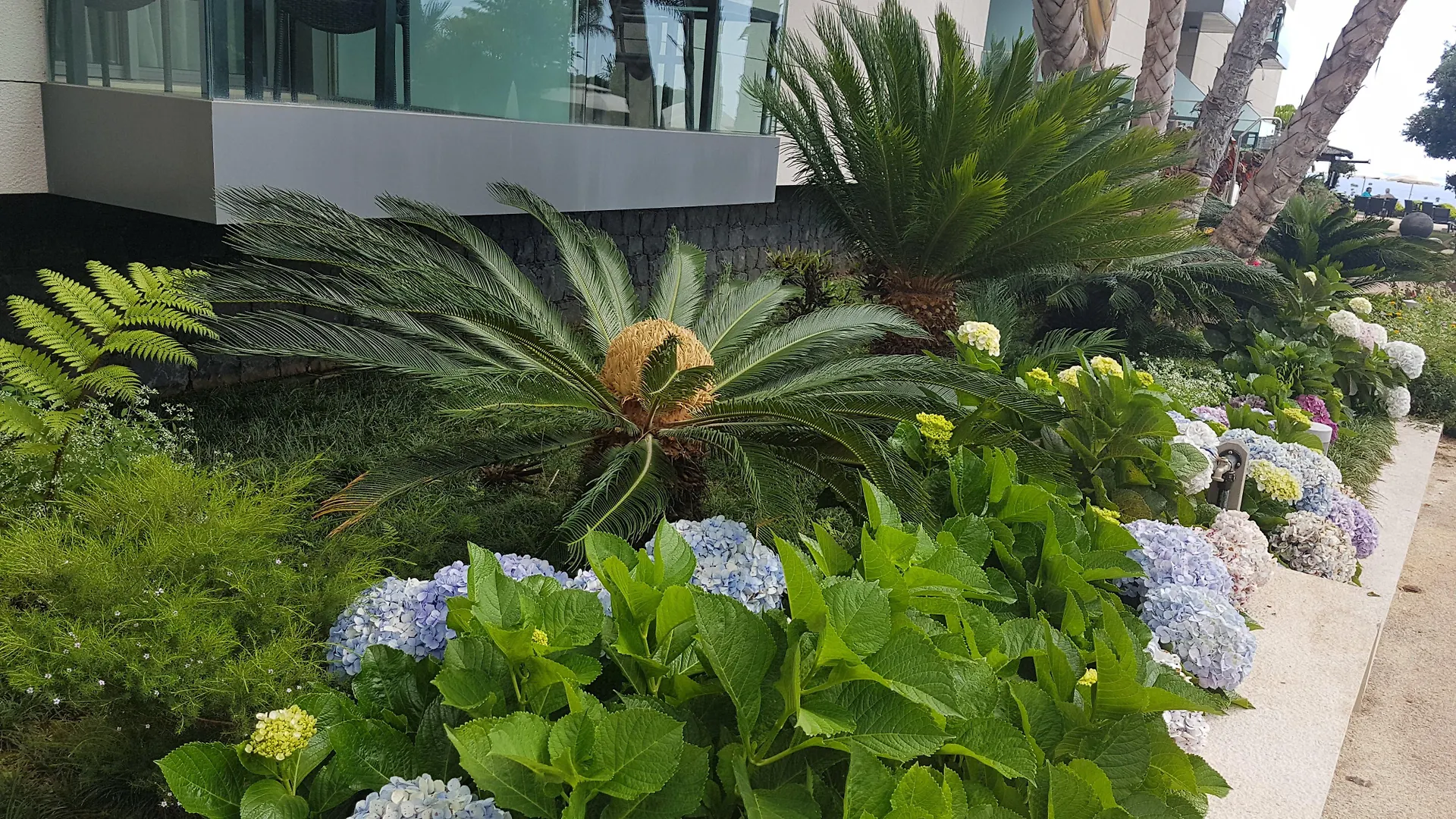 Golden Residence Hotel Funchal   Funchal (Madeira)